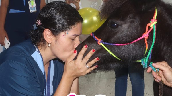 post_Mesa de trabajo 1 copia 9