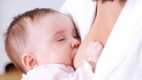 Programa Institucional de Lactancia Materna, Saca Pecho - Club Noel
